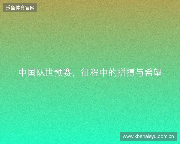 中国队世预赛，征程中的拼搏与希望